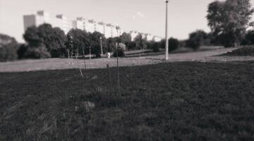1628706615516 (1)