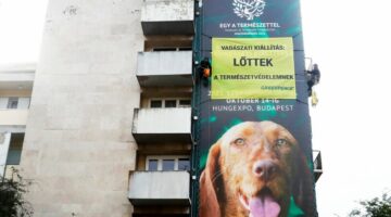 1632472368-temp-gcbecp-20210924-815-543-90-zc