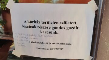 1667457310204