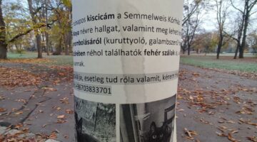 1669039200335