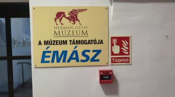 1674647846732