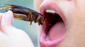 1675246873-nFCG7aYln_lg