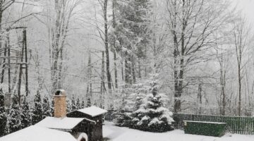 168424299_468636201247327_8180506001304290412_n