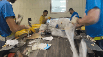 1699431546050
