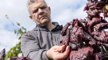 1759987294 temp s3njok8de9c28biadjb cikktorzs xl