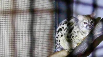 1770890284 temp 052jajci112jbpdmpke facebook