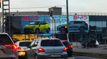 1773384015667 (1)