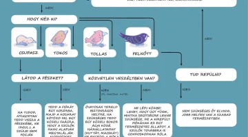 1776681474 temp 1fu80nvq8cgg4gbnegg cikktorzs xl@1.25x