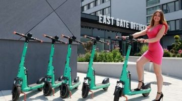 17784620054650369603