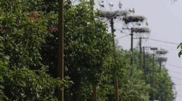 181114741_4402516136444083_748718325651858934_n