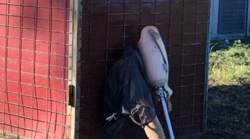 189412154_484570149458814_1627342837335066050_n