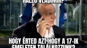 19563e6a efaa 478d 87cc f1b2d2049297