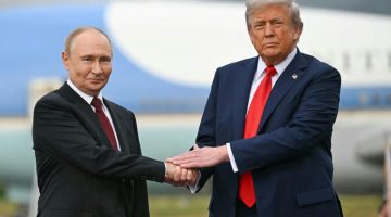 1d63a9bc a354 4c83 80ed c4076cd11a49