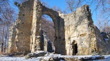 20100125_17464301_acb8d185_2