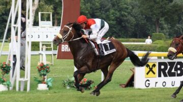 2010_07_18_08_web