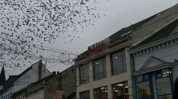 20201230_140552 (1)