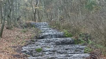 206135b9 99c5 4916 8969 72da42d31006