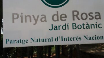 21686960_1639747936056842_4271390515774133933_o