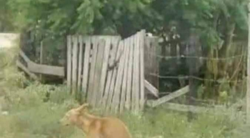 241321081_915339505731373_7785806340041144302_n