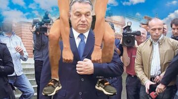 242327033_1043555176413417_2735027165104265250_n