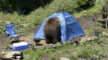 244978135_4550139461691496_2560469901984961775_n