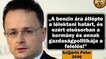 246028468_368577278302091_1712979707899790939_n