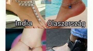 261087523_441819307504860_7810263312677579844_n