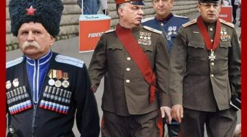 269597700_134898868994459_6261357538129244900_n