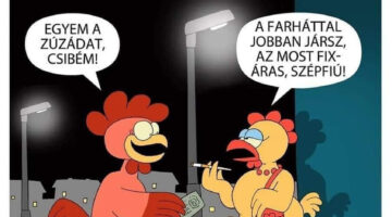 272866143_349543150505616_5721552609293359631_n