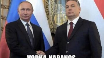 273027384_476587180580713_5355267902658070146_n