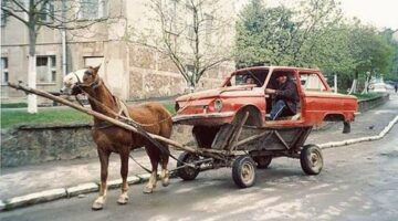 273128300_10225375047418614_5727814412588762432_n