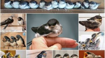 274980221_1872430699615402_8121168708711849724_n