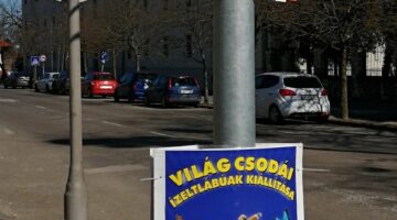 275610447_4938948502892599_3718869627337402596_n