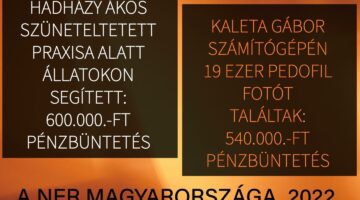 276034591_531760681645564_8804724819074703682_n