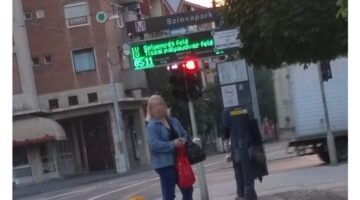 279470247_486727656568513_9144204401670836046_n