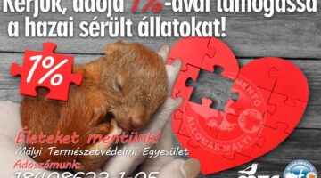 280933228_1930033823855089_6112746554457552990_n (1)