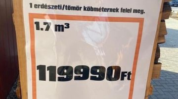 295027336_5415031418589599_70741097478480321_n