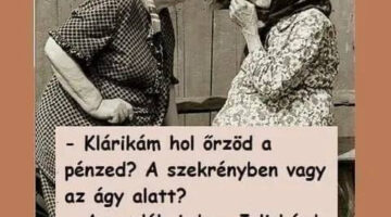 295323478_5680678701952942_2455148308051498787_n