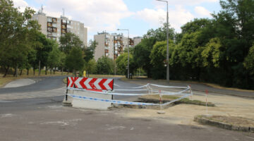 295628144_572748411146834_6580813622838534885_n