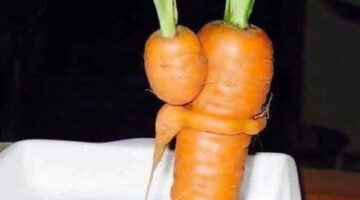 304813881_10160104378341066_8600972595132684011_n