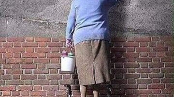 305930018_897109387958525_6893123565133685404_n