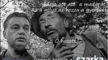 306642679_471647424887137_4928457412736178752_n