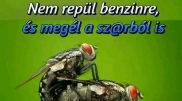 311597856_5584809521562267_8507576084506094362_n