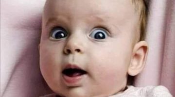 311859796_5596290897080796_7397277632017039356_n