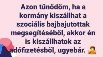 311867145_5636958296347389_2249993822142298310_n