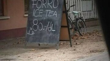 311968381_9009261092447257_4225563311967598693_n