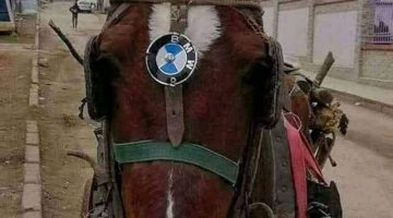 312354059_3267910750088095_2716348545943453799_n