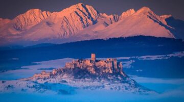 316409850_2987348921570190_189808137963572373_n