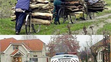 316831308_521527400004760_4132821036782958129_n