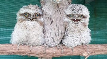 317395970_1284784602366006_1065593051085705978_n